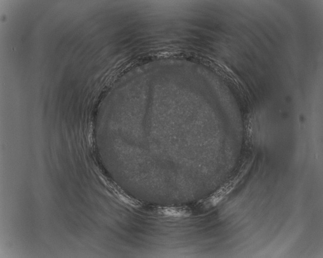 X0000067910565200605041646