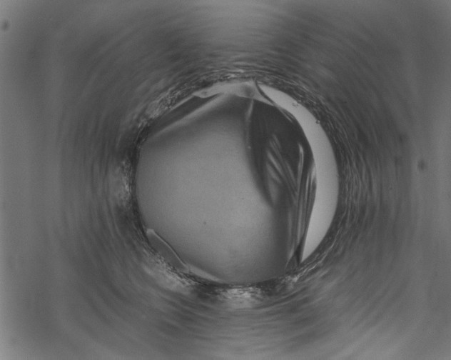 X0000067910566200605041646