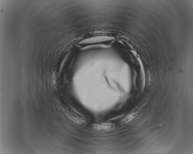 X0000067910567200605041646