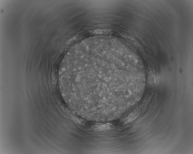 X0000067910569200605041646