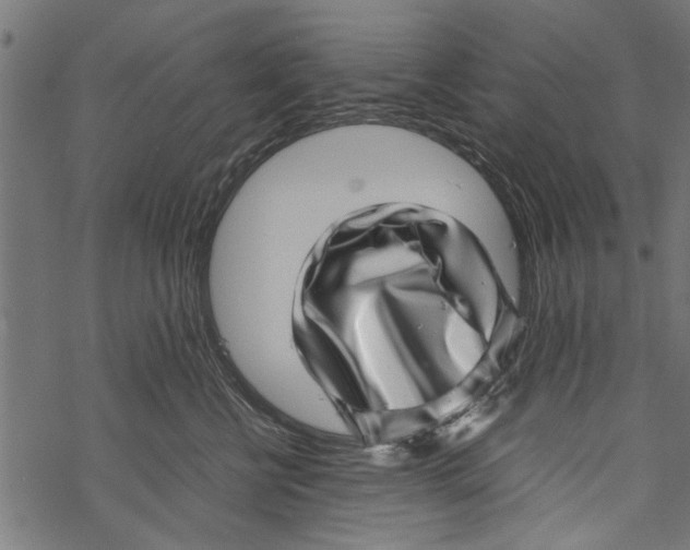 X0000067910570200605041646