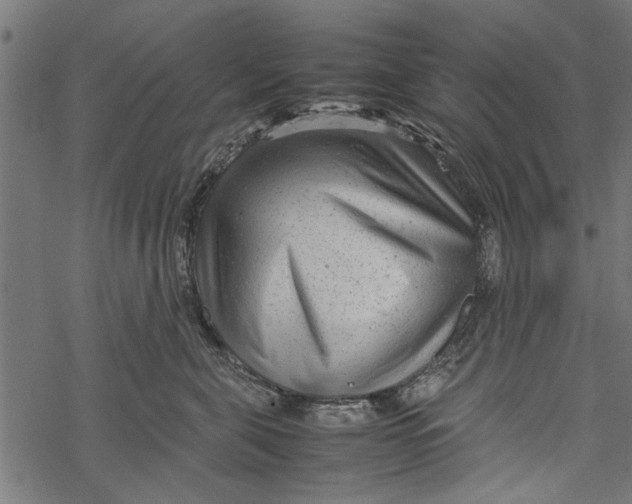 X0000067910571200605041646