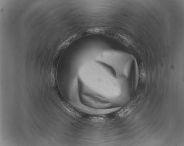 X0000067910572200605041646