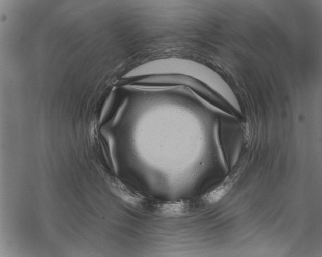 X0000067910574200605041646