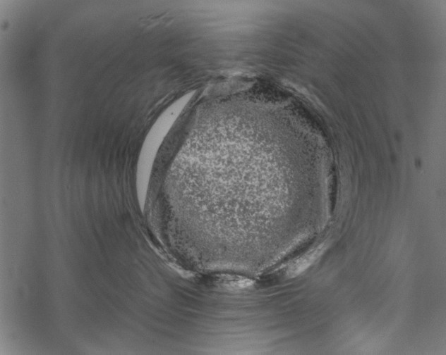 X0000067910576200605041646