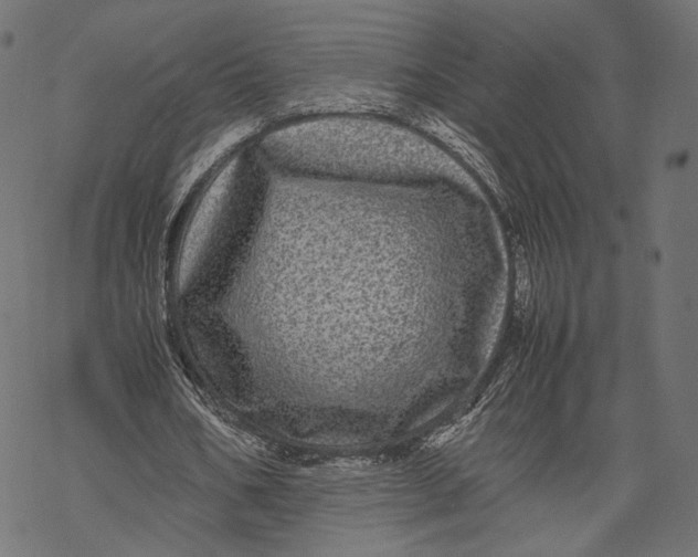 X0000067910578200605041645