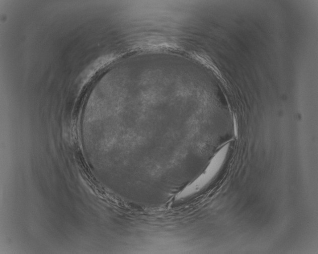 X0000067910579200605041645