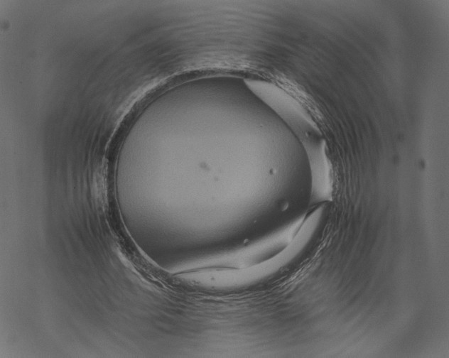 X0000067910580200605041645