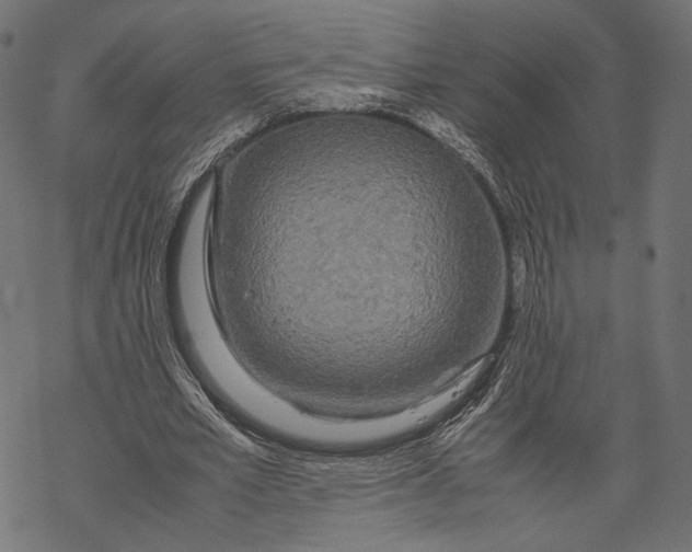 X0000067910581200605041645