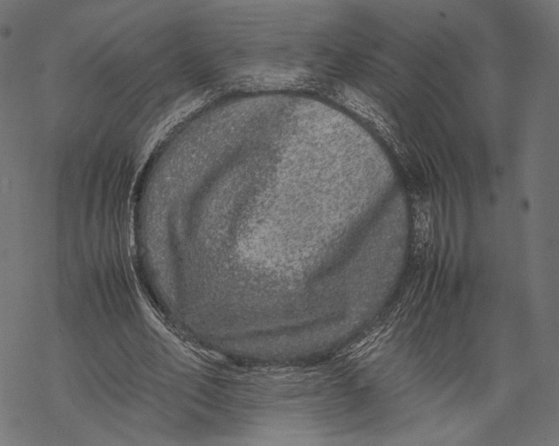 X0000067910582200605041645