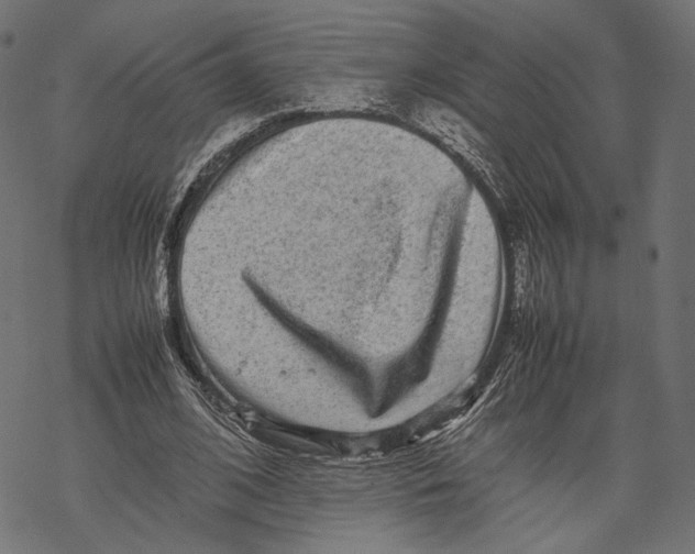 X0000067910584200605041645