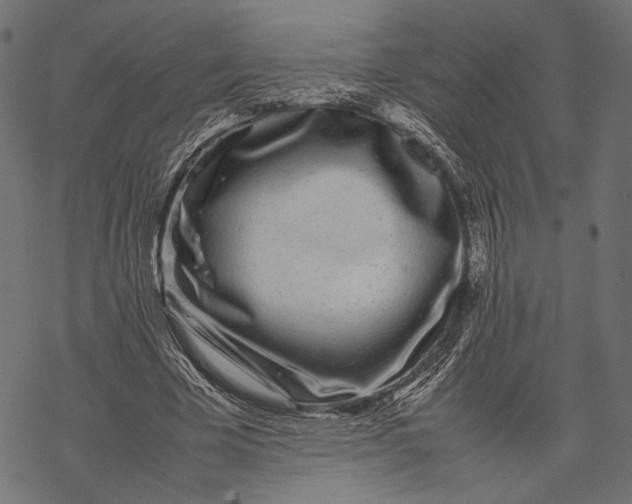 X0000067910585200605041645