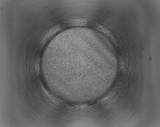 X0000067910586200605041645