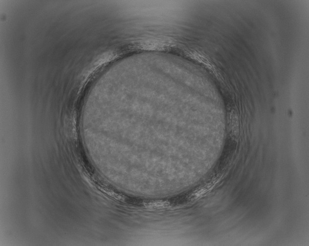 X0000067910587200605041645