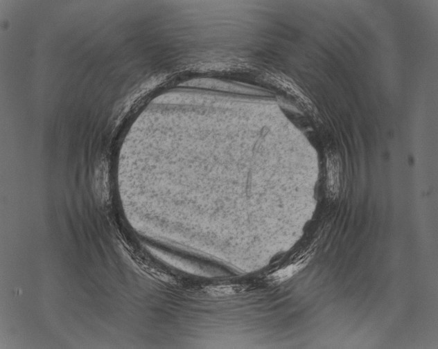 X0000067910588200605041645