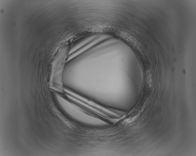 X0000067910589200605041645