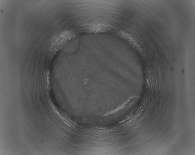 X0000067910590200605041645