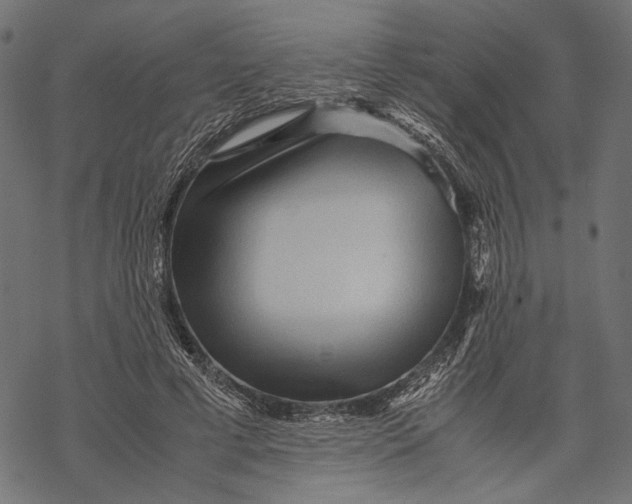 X0000067910593200605041645