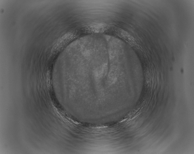 X0000067910594200605041645