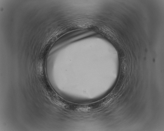 X0000067910595200605041645