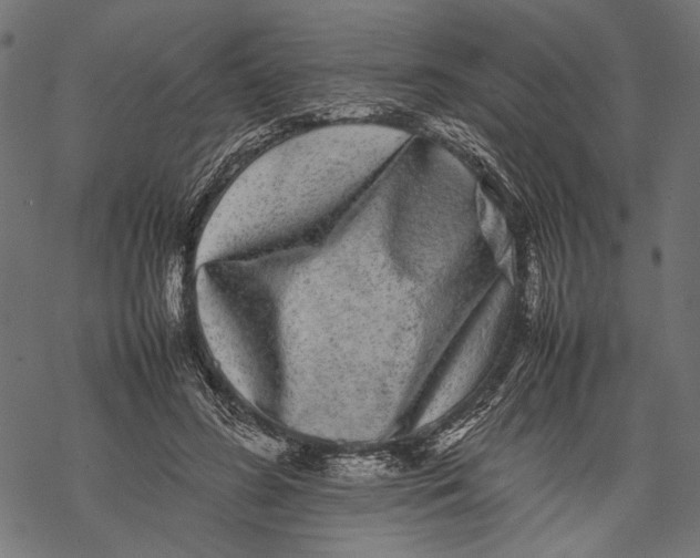 X0000067910596200605041645