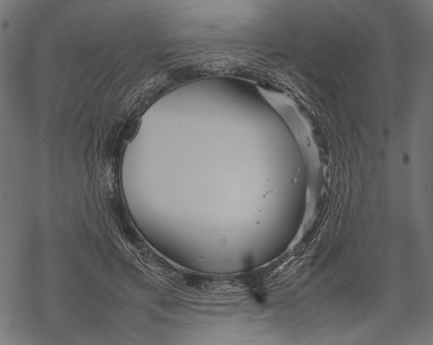 X0000067910597200605041645