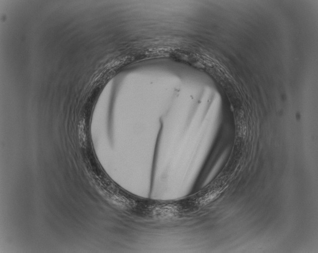 X0000067910599200605041645