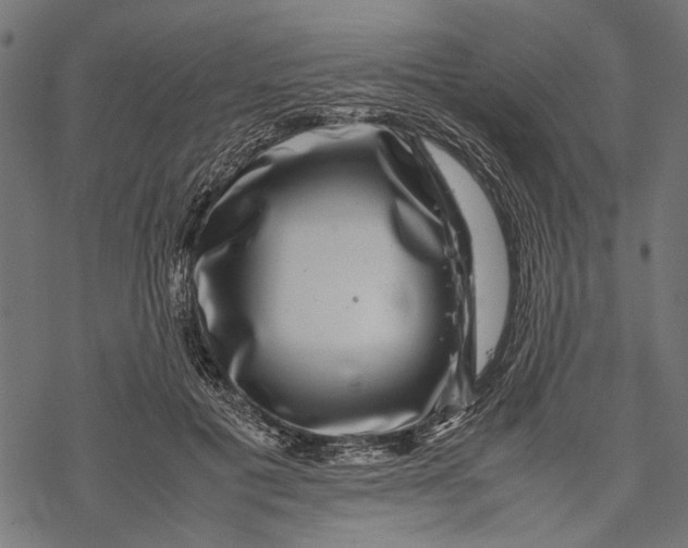 X0000067910601200605041645