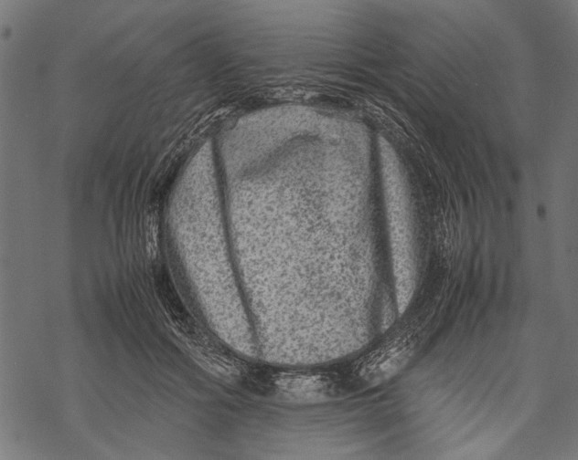 X0000067910602200605041645