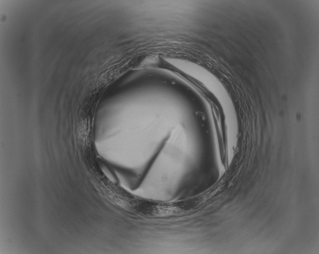 X0000067910605200605041645