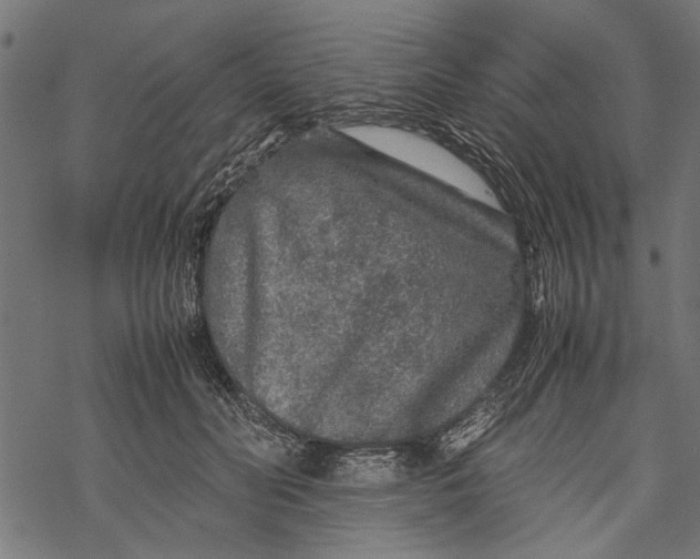 X0000067910606200605041645