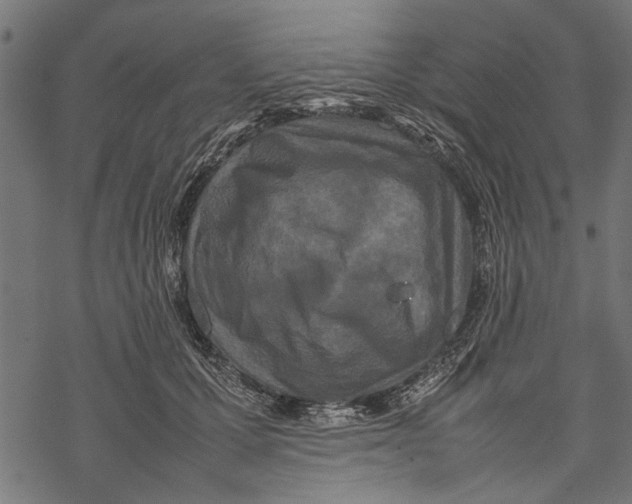 X0000067910607200605041645