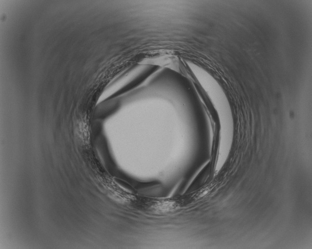 X0000067910609200605041645