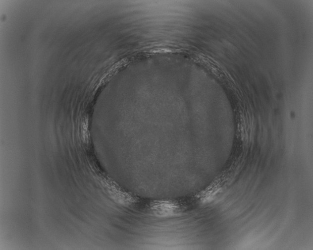 X0000067910610200605041645