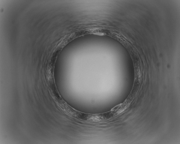 X0000067910611200605041645