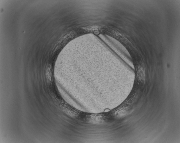 X0000067910612200605041645