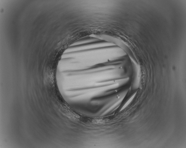 X0000067910613200605041645