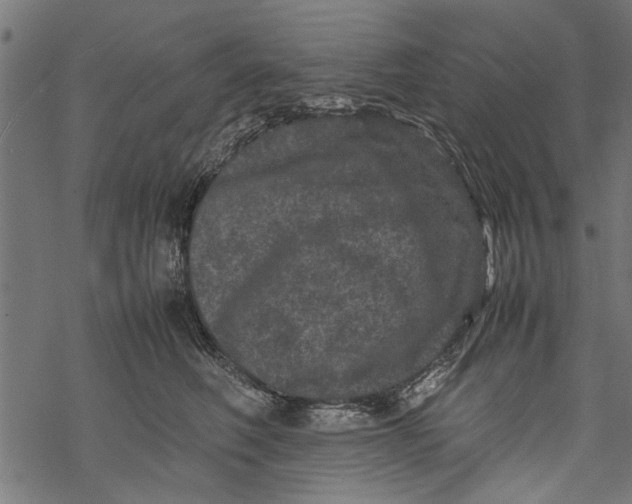 X0000067910614200605041645