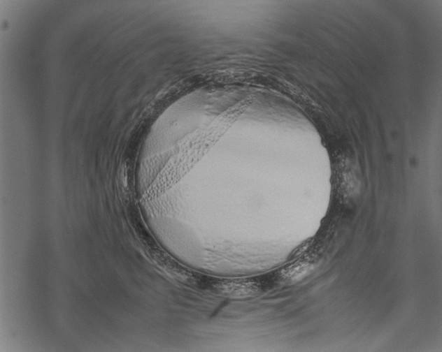 X0000067910615200605041645