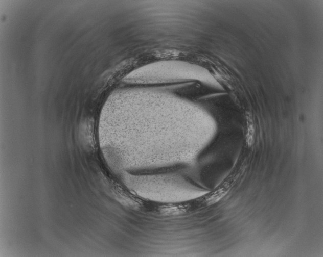 X0000067910616200605041645