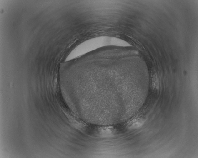 X0000067910618200605041645