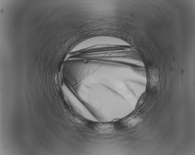 X0000067910619200605041645