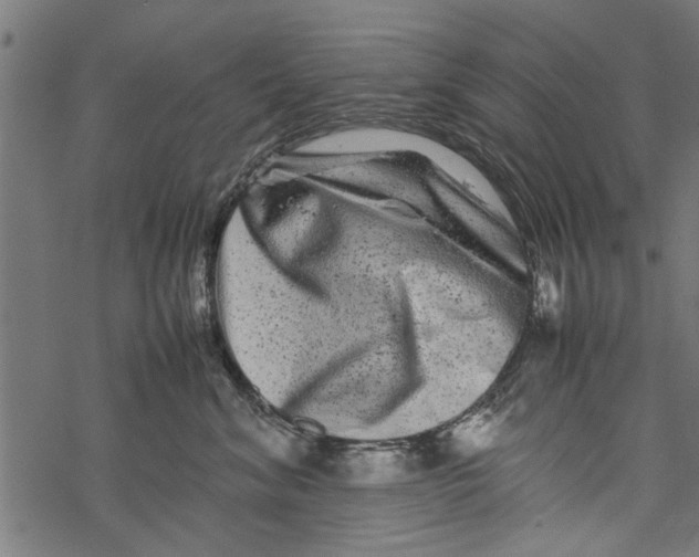 X0000067910620200605041645