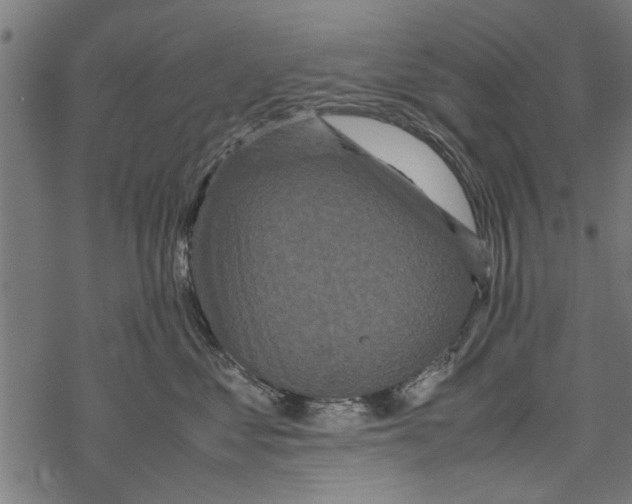 X0000067910621200605041645