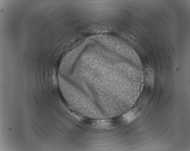 X0000067910622200605041645