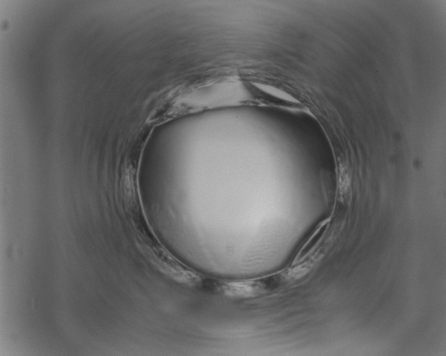 X0000067910623200605041645