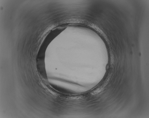 X0000067910625200605041644