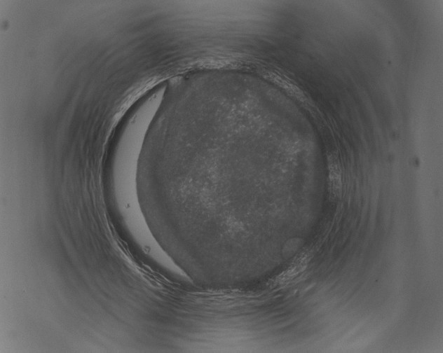 X0000067910626200605041644