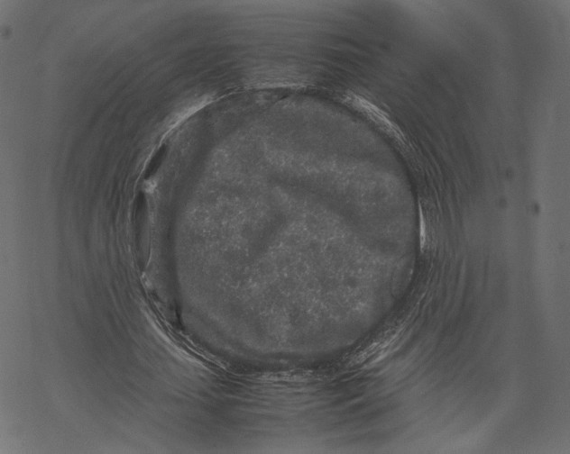 X0000067910627200605041644