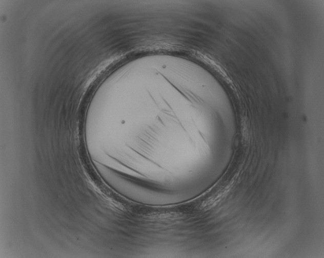 X0000067910629200605041644